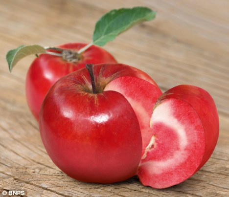 Redlove a 'red flesh apple'